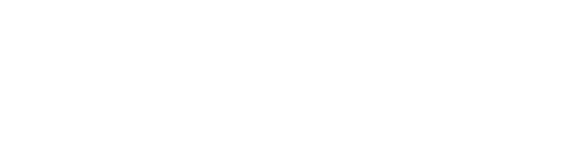 CarpetCleanix